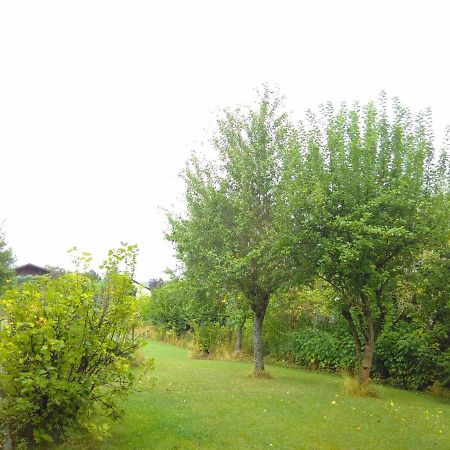 Ferienwohnung Am Mozarthuegel Варщайн Екстериор снимка